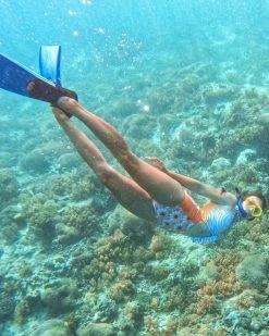 Nani Swimwear Malibu High Tide One Piece