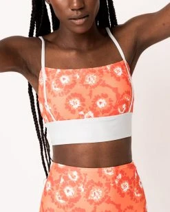 Nani Swimwear Hattie Surf Crop